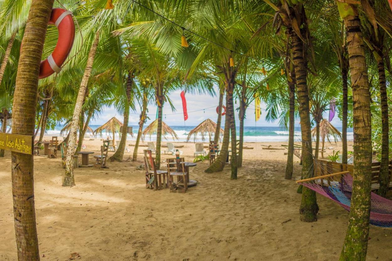 Playa 506 Beachfront Hostel Puerto Viejo de Talamanca Ngoại thất bức ảnh
