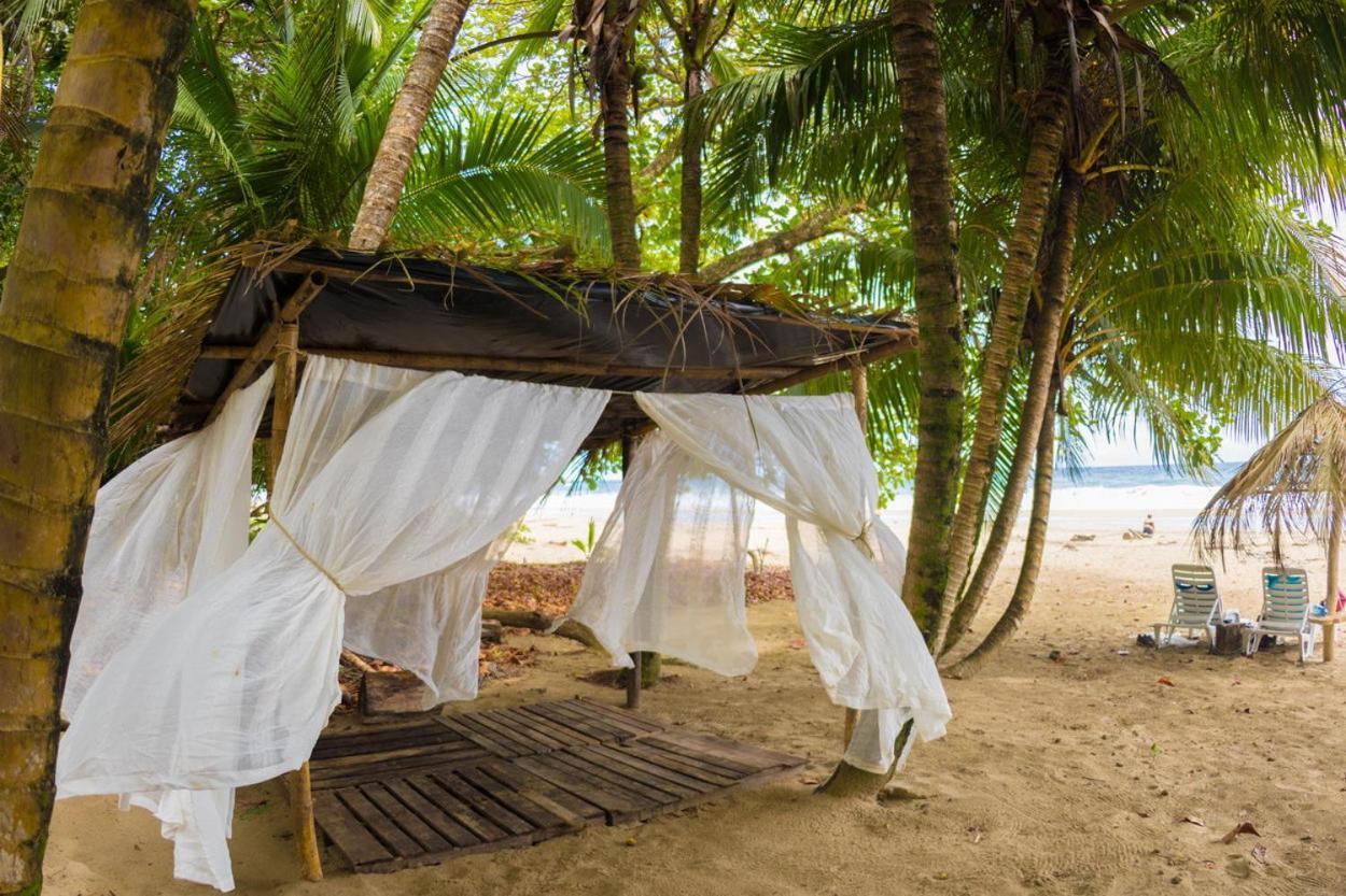 Playa 506 Beachfront Hostel Puerto Viejo de Talamanca Ngoại thất bức ảnh