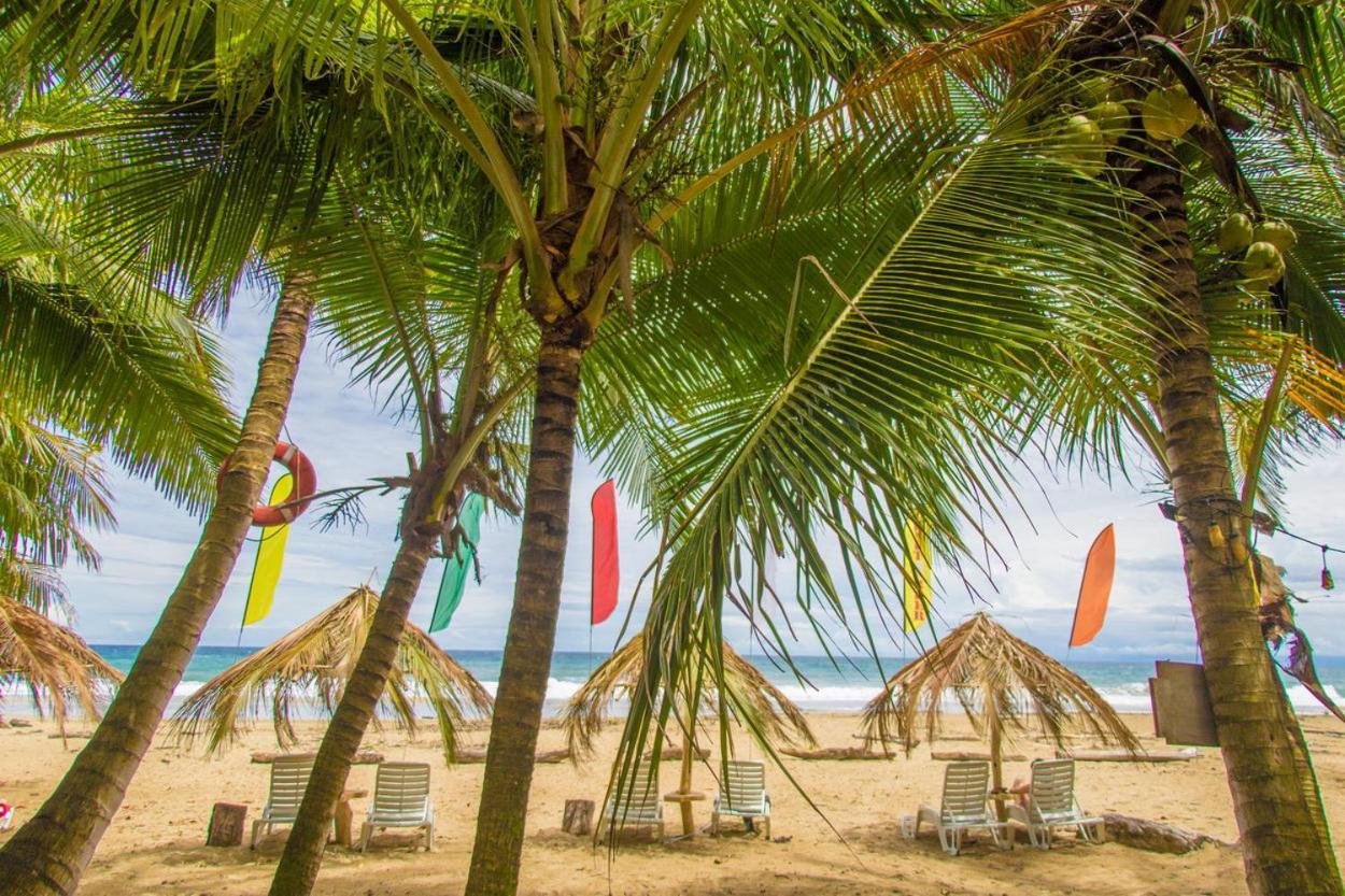 Playa 506 Beachfront Hostel Puerto Viejo de Talamanca Ngoại thất bức ảnh