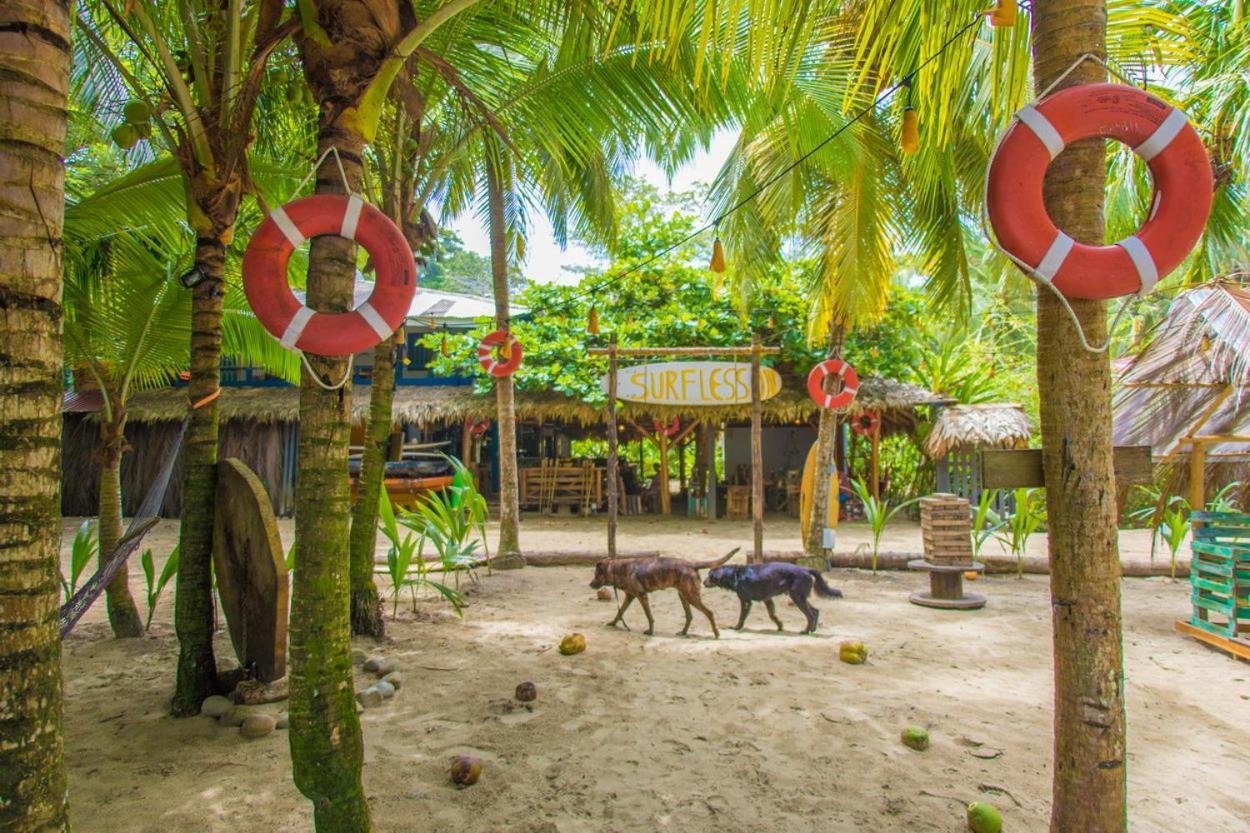 Playa 506 Beachfront Hostel Puerto Viejo de Talamanca Ngoại thất bức ảnh