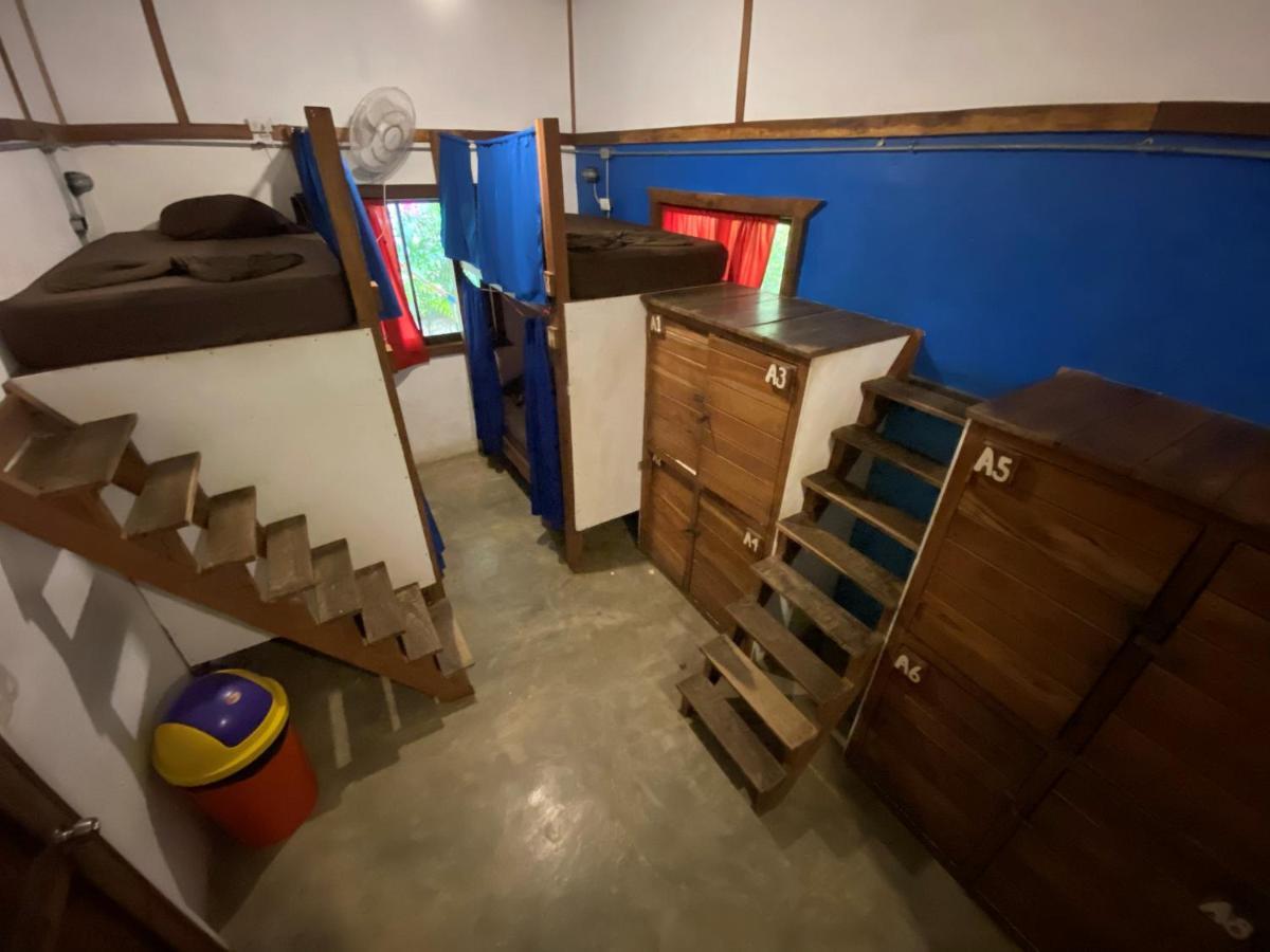 Playa 506 Beachfront Hostel Puerto Viejo de Talamanca Phòng bức ảnh