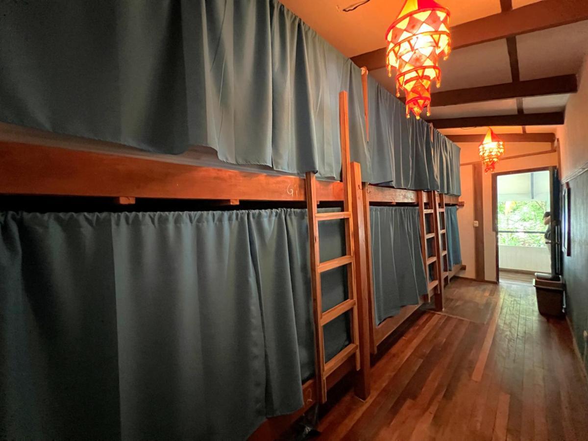 Playa 506 Beachfront Hostel Puerto Viejo de Talamanca Ngoại thất bức ảnh