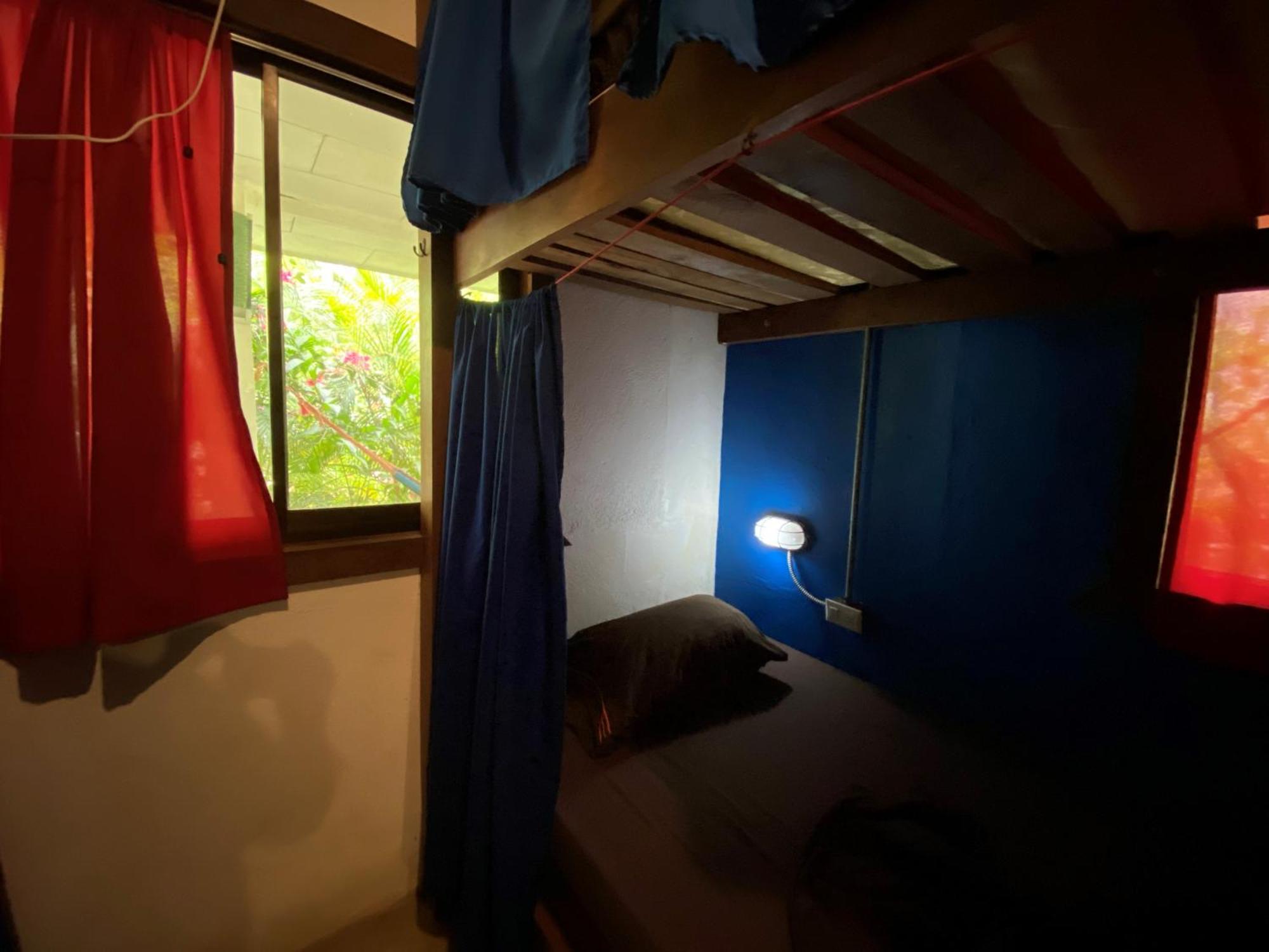Playa 506 Beachfront Hostel Puerto Viejo de Talamanca Phòng bức ảnh