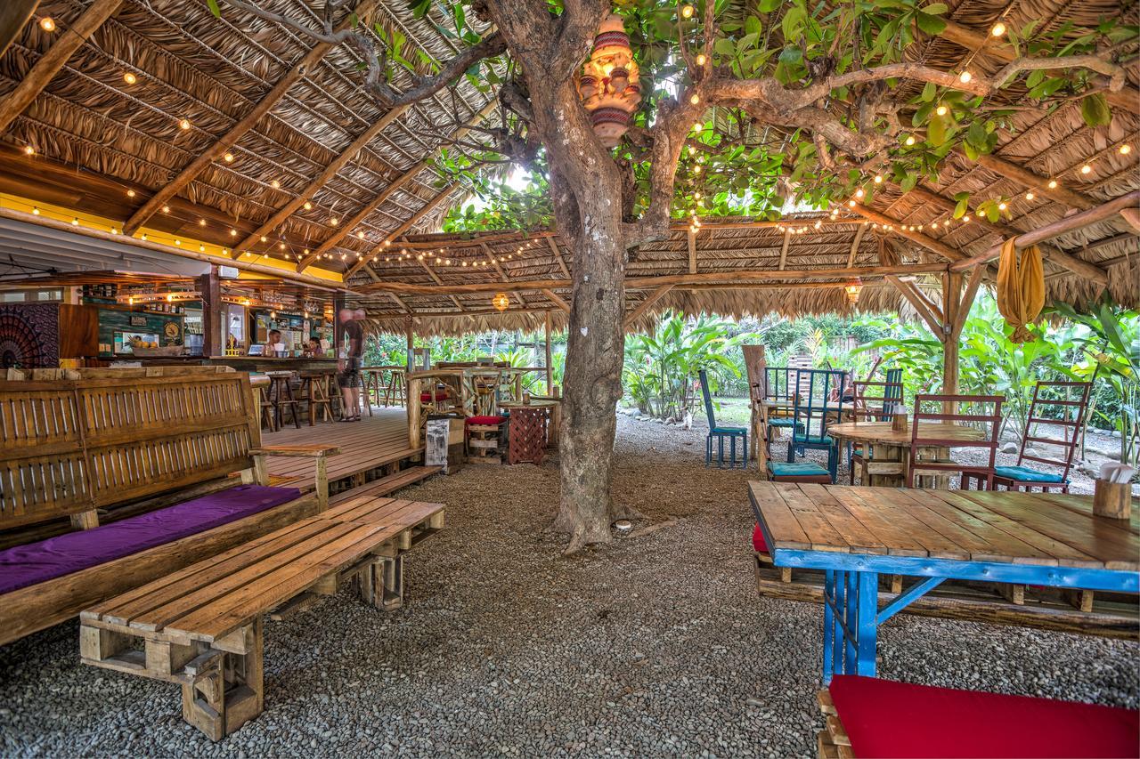 Playa 506 Beachfront Hostel Puerto Viejo de Talamanca Ngoại thất bức ảnh