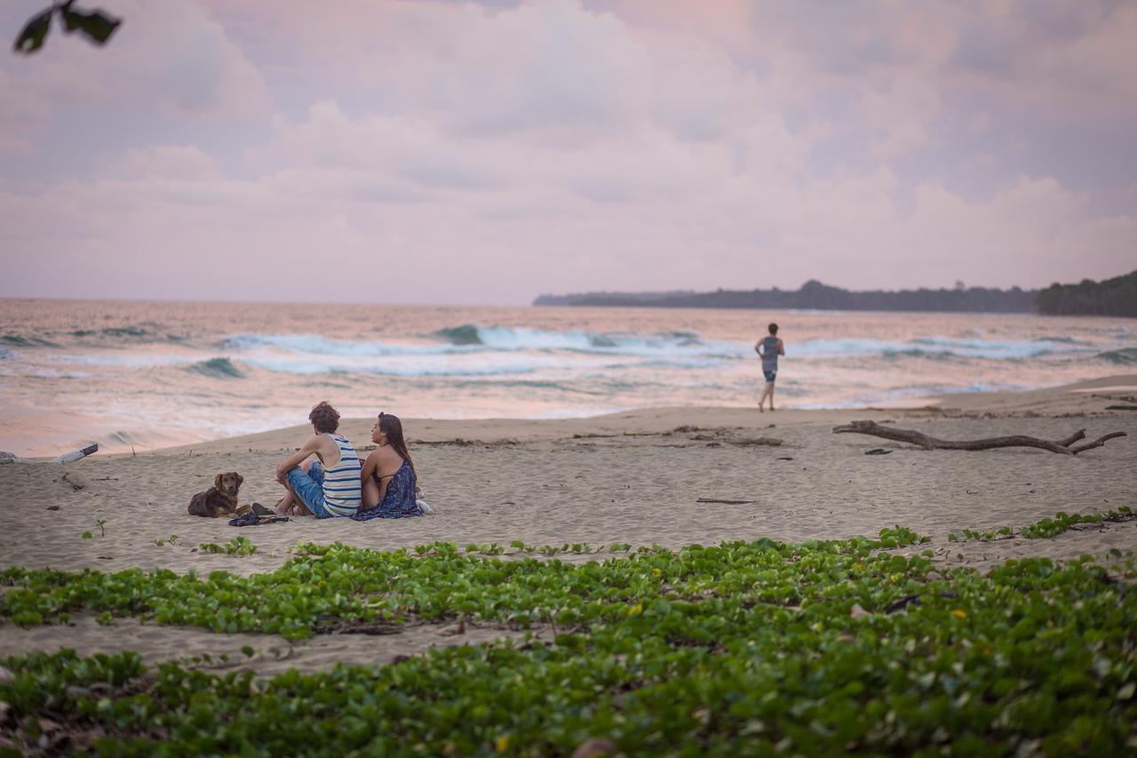 Playa 506 Beachfront Hostel Puerto Viejo de Talamanca Ngoại thất bức ảnh