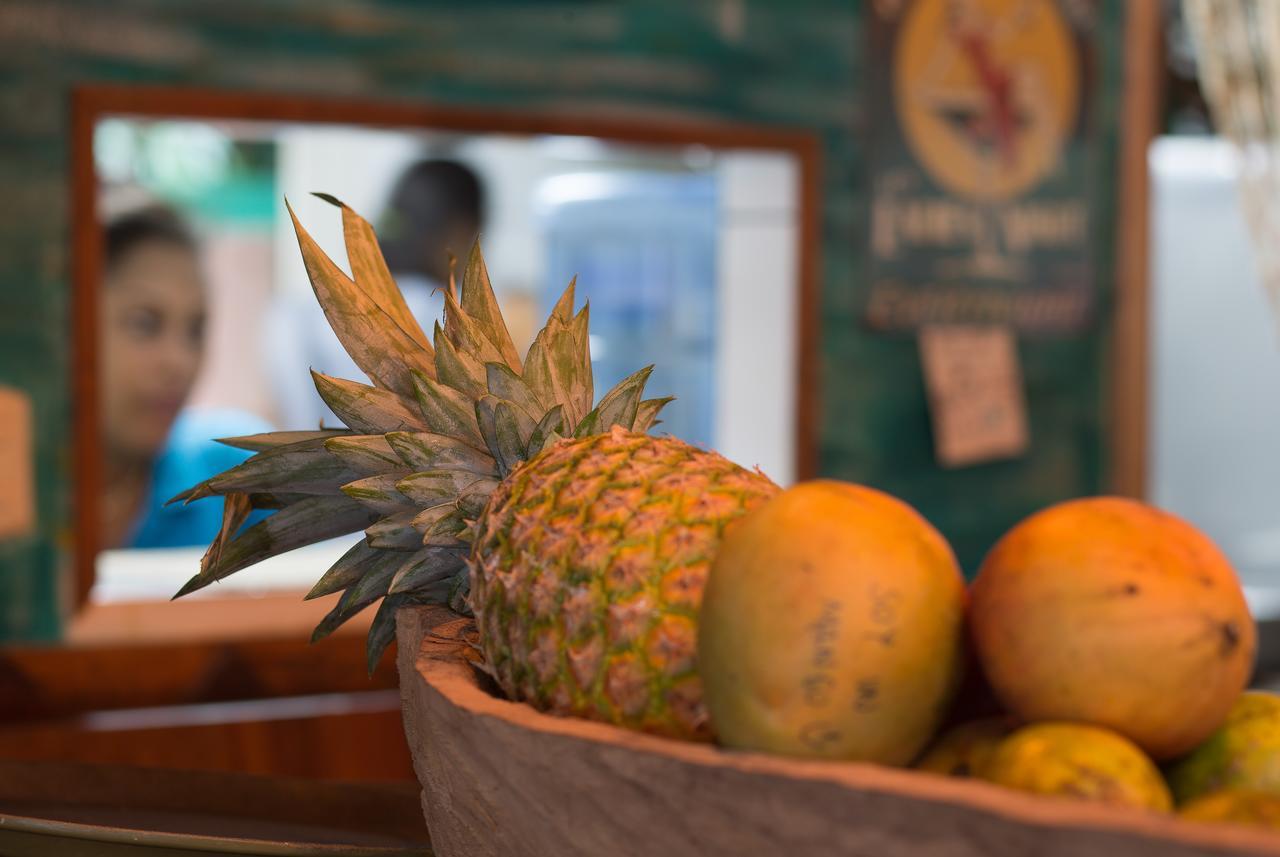 Playa 506 Beachfront Hostel Puerto Viejo de Talamanca Ngoại thất bức ảnh