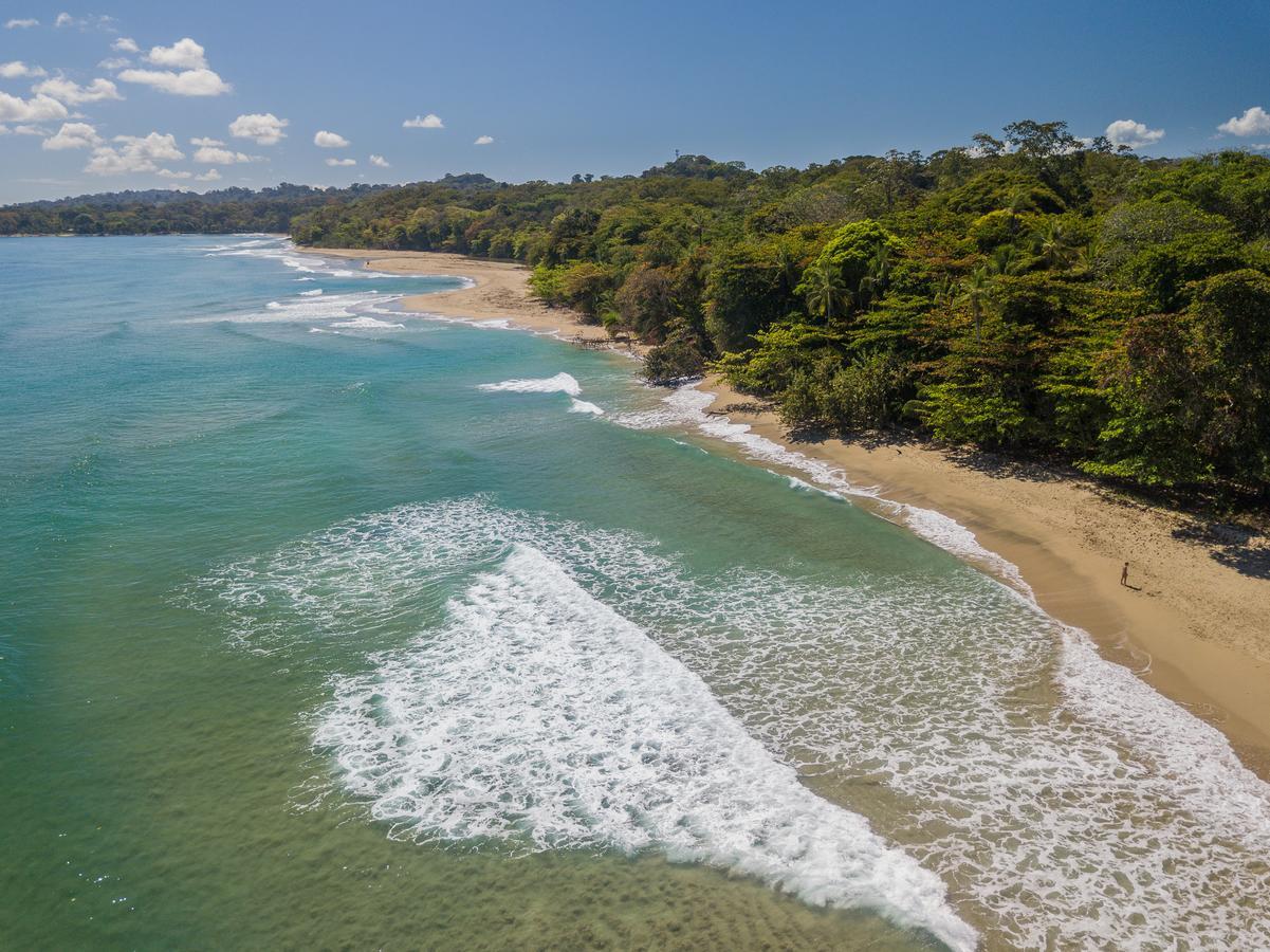 Playa 506 Beachfront Hostel Puerto Viejo de Talamanca Ngoại thất bức ảnh